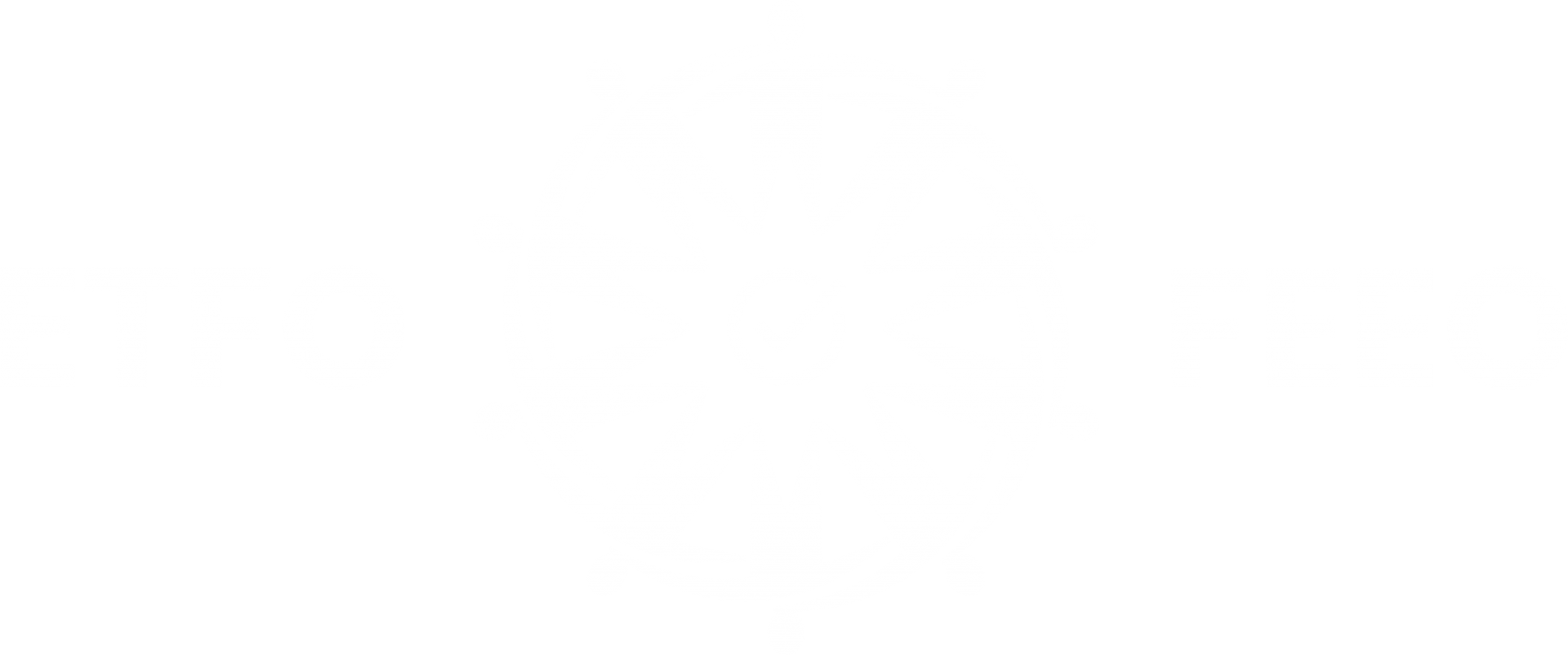 critical-consciousness-lesson-plan-template