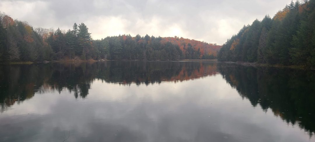 A cloudy sky reflected in a smooth lake in fall.