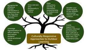 A graphic of a tree that explains different elements of culturally responsive approaches to outdoor learning, such as leveraging representation, recognizing the difference between individualism and collectivism, positionality, and creating supportive, trauma-informed learning spaces.
