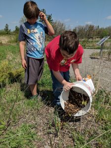 A photograph showing two children with short brown hair looking down at the ground as one student is dumping a bucket of mulch around a plant.