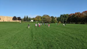 A photograph of a school soccer field is shown with about 20 small children running toward the net in the distance. The grass is lush and green, the sky is blue.